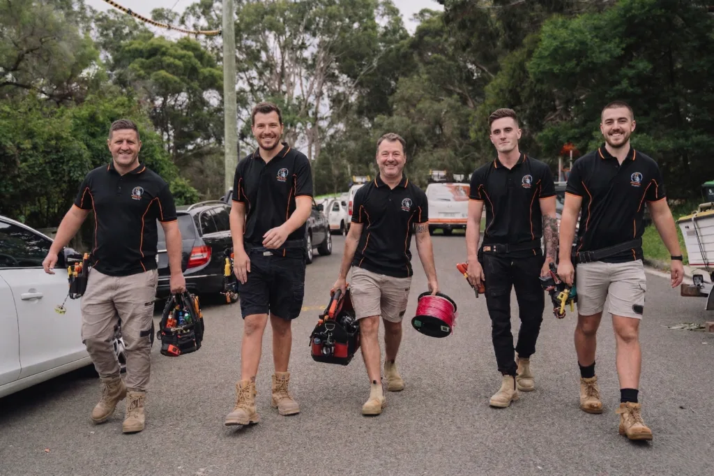 Professional electrical services in Woollahra